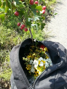 20140809_123059_resized